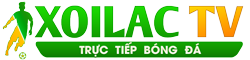 vũ tiến long